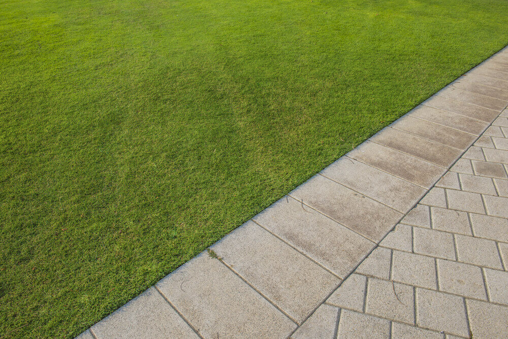 Lawn Edging Service