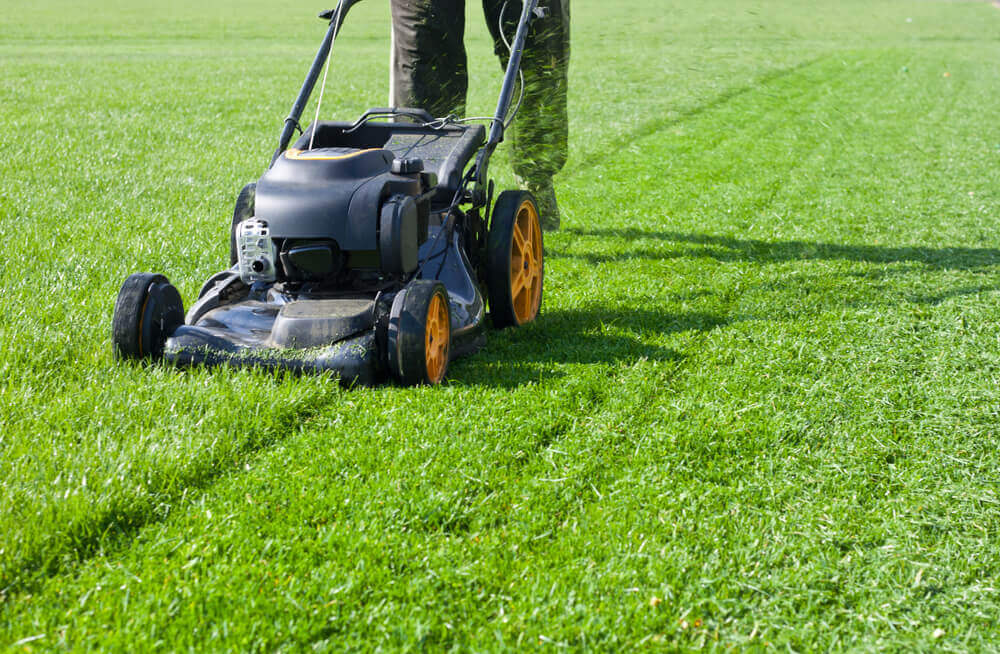 Mowing Service Aberdeen