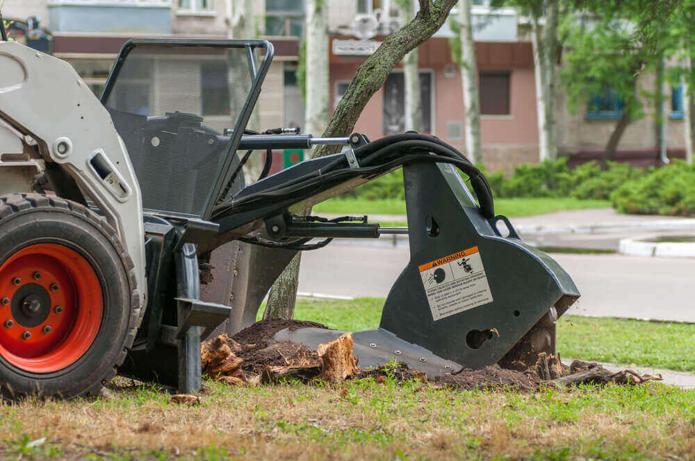 Why Tree Root Removal is Important